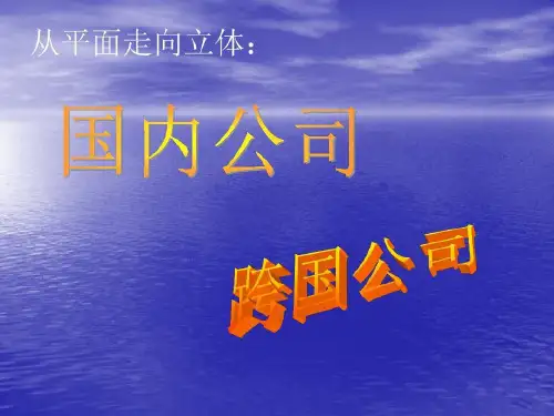 跨国公司环境分析框架34页PPT