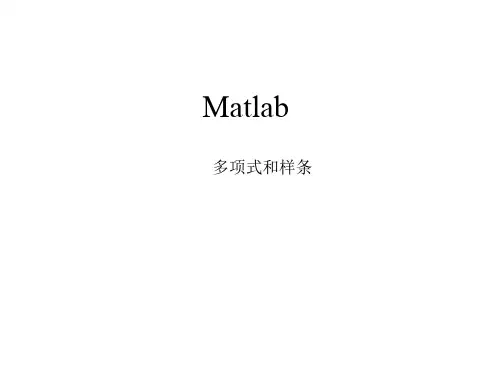 matlab多项式和样条