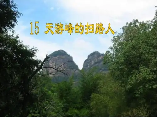 天游峰的扫路人2