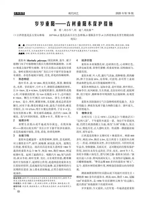 岁岁重阳——古树重阳木保护措施