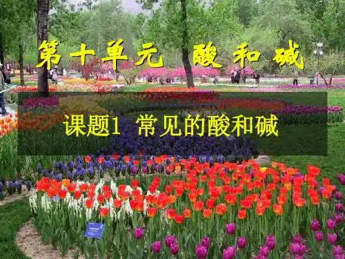 人教版化学九下10.1常见的酸和碱课件 (4)