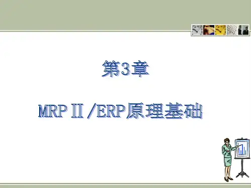 MRP2及ERP原理-文档资料
