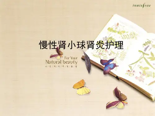 慢性肾小球肾炎的护理 PPT课件
