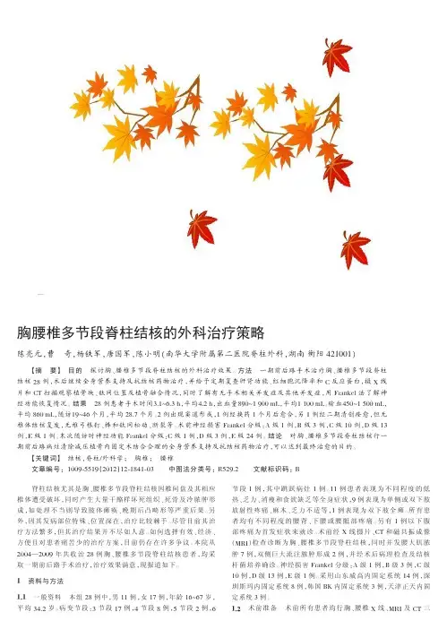 胸腰椎多节段脊柱结核的外科治疗策略