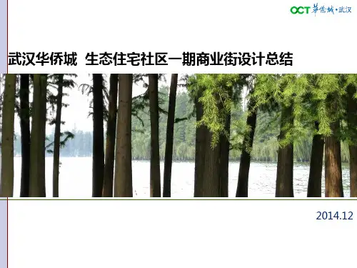 武汉华侨城一期商业街设计总结2014-12