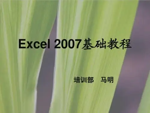 Excel2007基础教程2