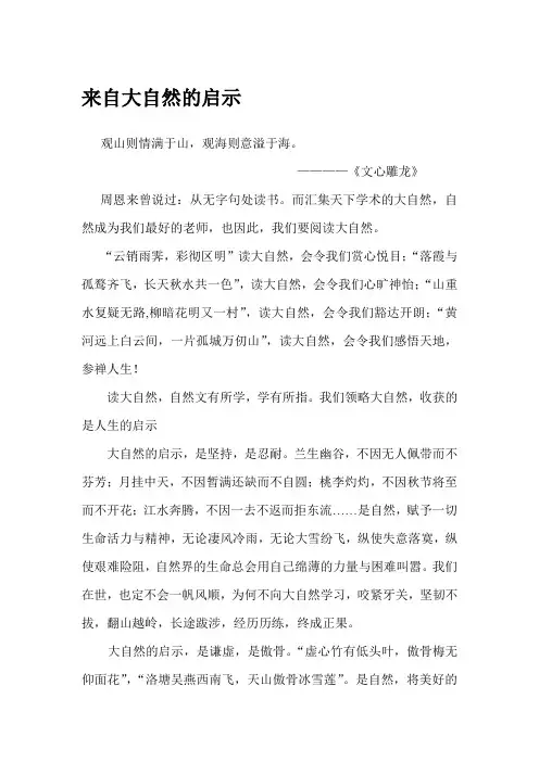 来自大自然的启示