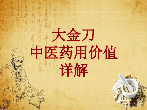 中药学_大金刀_药材详解课件模板