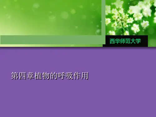 第四章植物的呼吸作用优秀课件