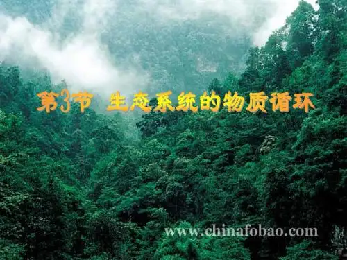 人教版教学课件生态系统的物质循环