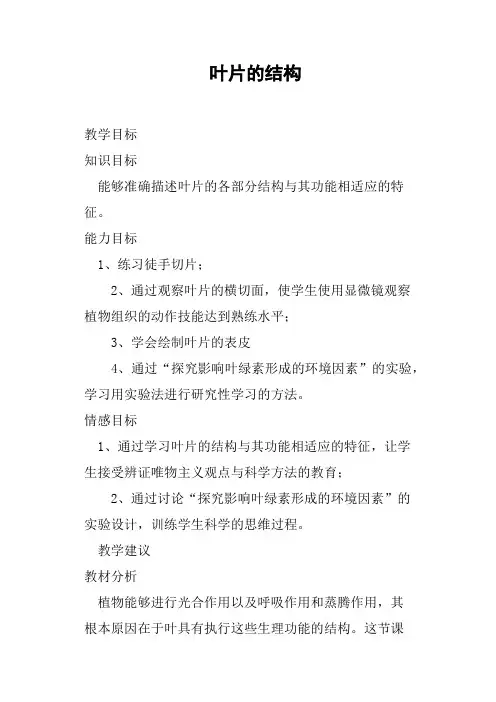 叶片的结构教案