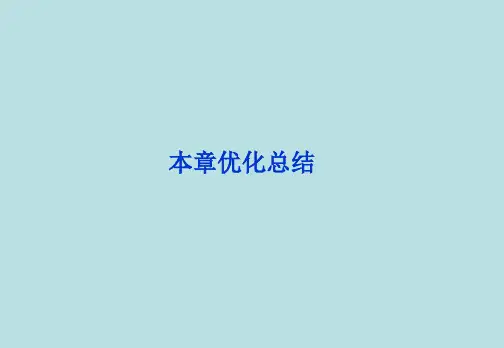 能源的开发与利用优化总结