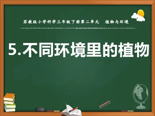 苏教版小学科学三年级下册第二单元《不同环境里的植物》课件
