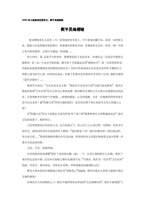 2005年上海高考优秀作文：熨平灵魂褶皱)