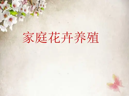 家庭花卉养殖技巧