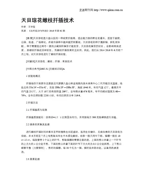 天目琼花嫩枝扦插技术 2