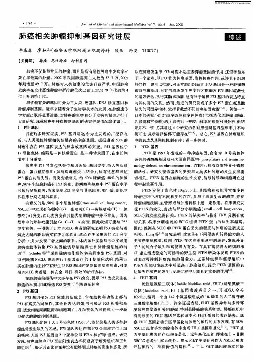 肺癌相关肿瘤抑制基因研究进展