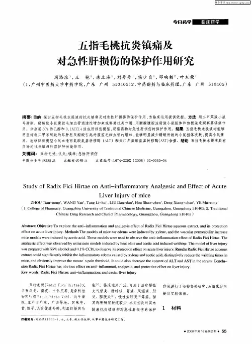 五指毛桃抗炎镇痛及对急性肝损伤的保护作用研究