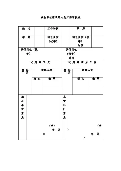 事业单位新录用人员工资审批表
