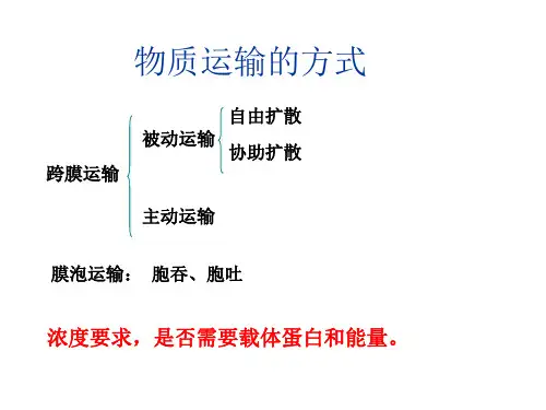 第五章第一节降低化学反应活化能的酶一