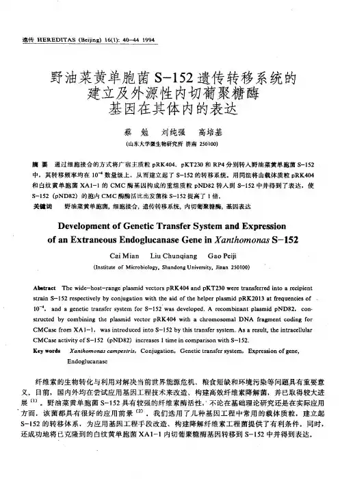 野油菜黄单胞菌S-152遗传转移系统的建立及外源性内切 葡聚糖酶基因在其体内的表达Development of