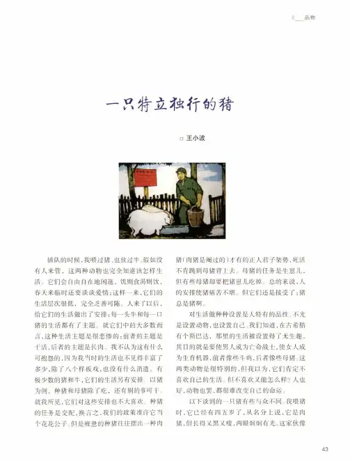 一只特立独行的猪 2
