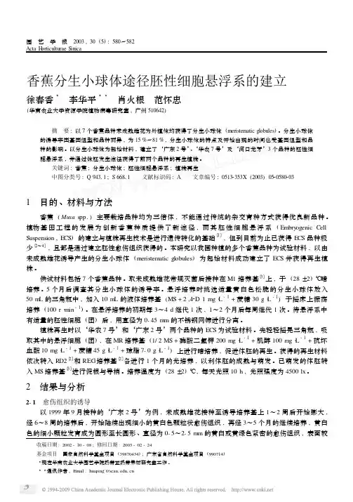 [15]香蕉分生小球体途径胚性细胞悬浮系的建立