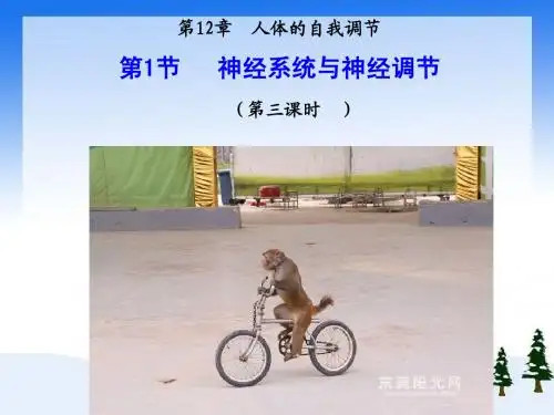 北师大版生物七年级下册12章1节神经系统与神经调节三课时精品课件