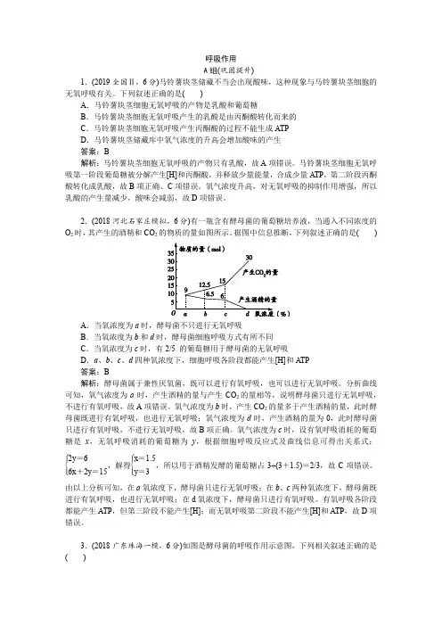 2021高考知识点分层提高满分冲刺训练试题试卷-呼吸作用