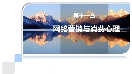 网络营销与消费心理