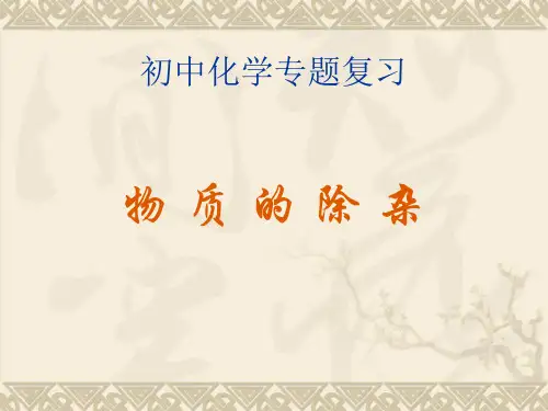 初中化学专题复习物质的分离和除杂PPT课件