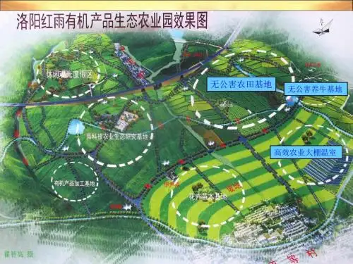 生态系统的能量流动(一轮复习)