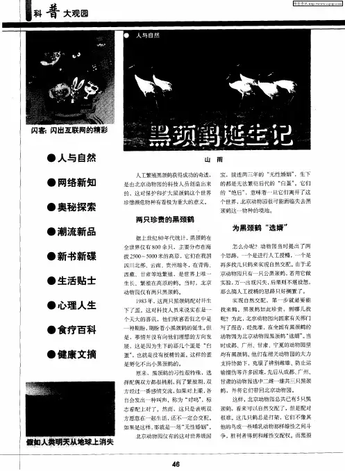 黑颈鹤诞生记