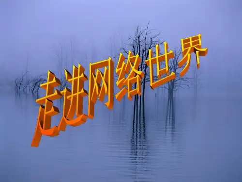 初中信息技术课件-走进网络