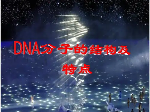 DNA分子的结构及特点ppt课件