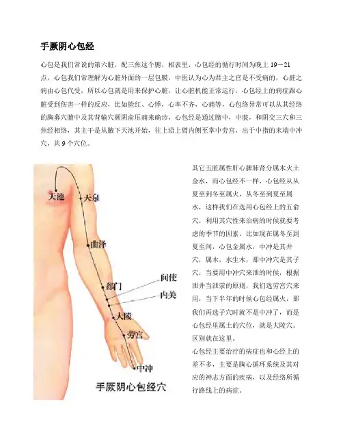 手厥阴心包经