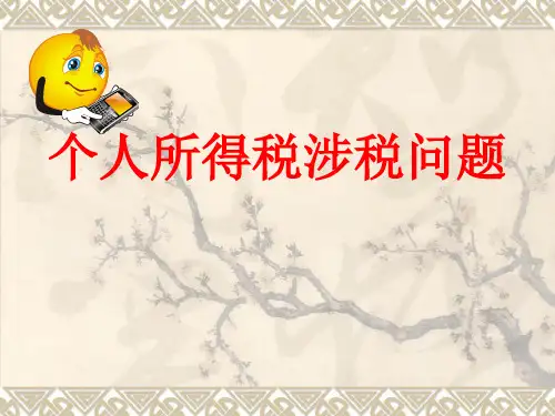 个人所得税讲义.pptx