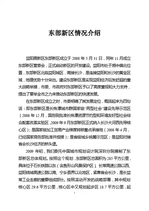 东部新区介绍