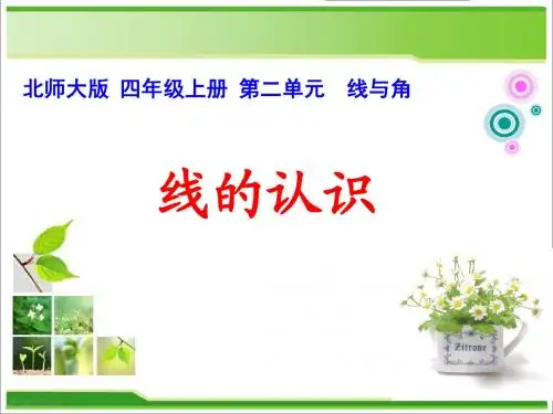 新北师大版,小学数学,四年级上册,第二单元,线与角,公开课课件
