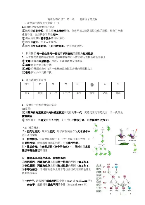 高中生物必修二 第一章 遗传因子的发现