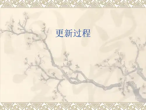 更新过程