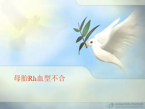 母胎Rh血型不合新解讲解