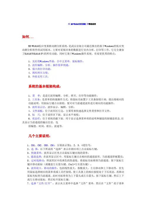 《RS-W1616分析系统》帮助说明
