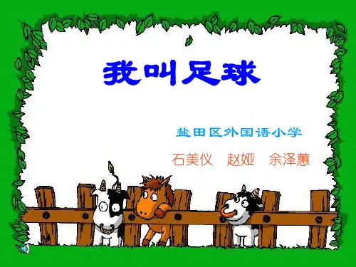 我叫足球 PPT