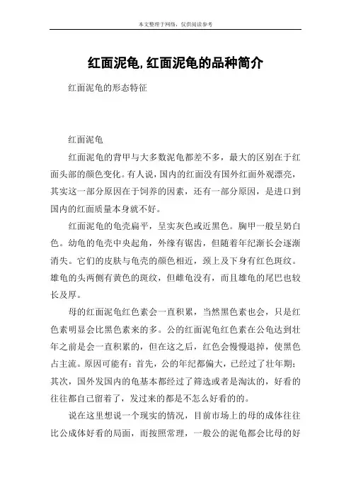 红面泥龟,红面泥龟的品种简介