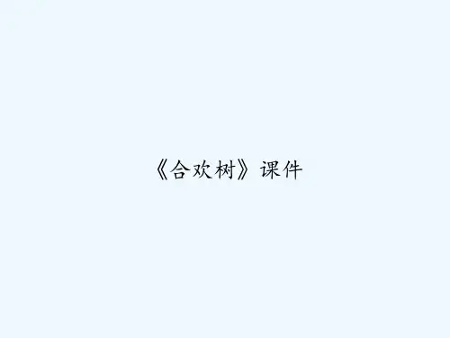 《合欢树》课件 PPT