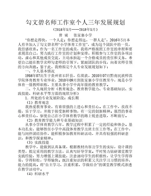 名师工作室个人发展三年规划