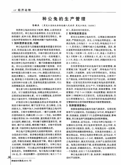 种公兔的生产管理