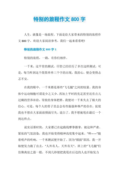 特别的旅程作文800字