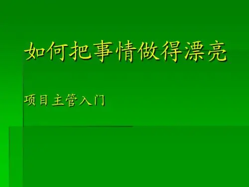 如何把事情做漂亮(主管入门教程)